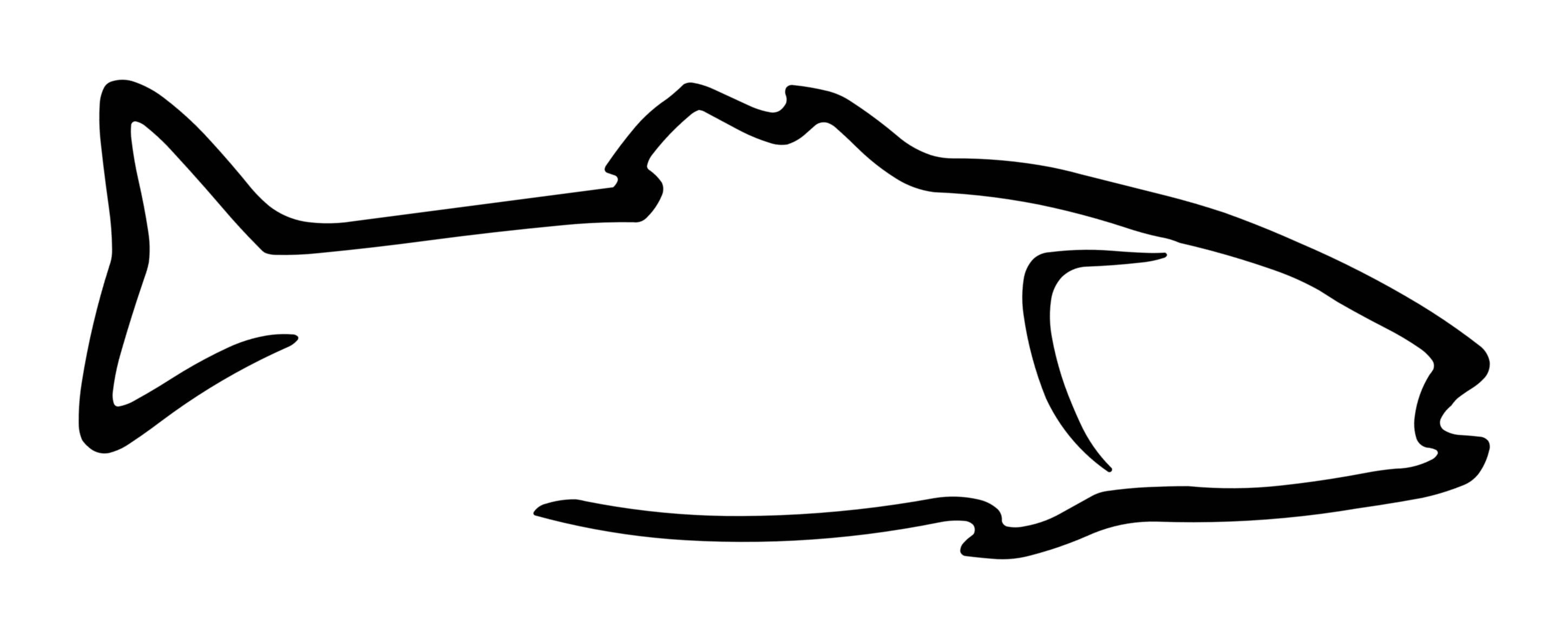 Product Image Description