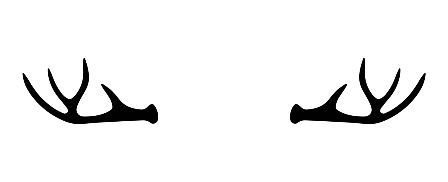 Center Options Antlers