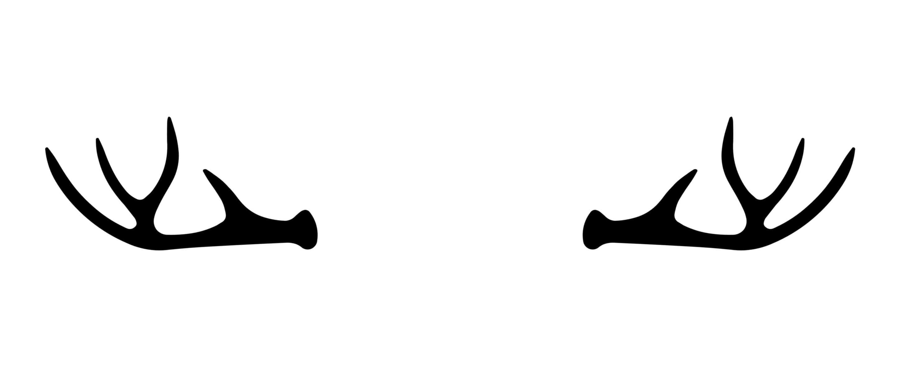 Product Image Description