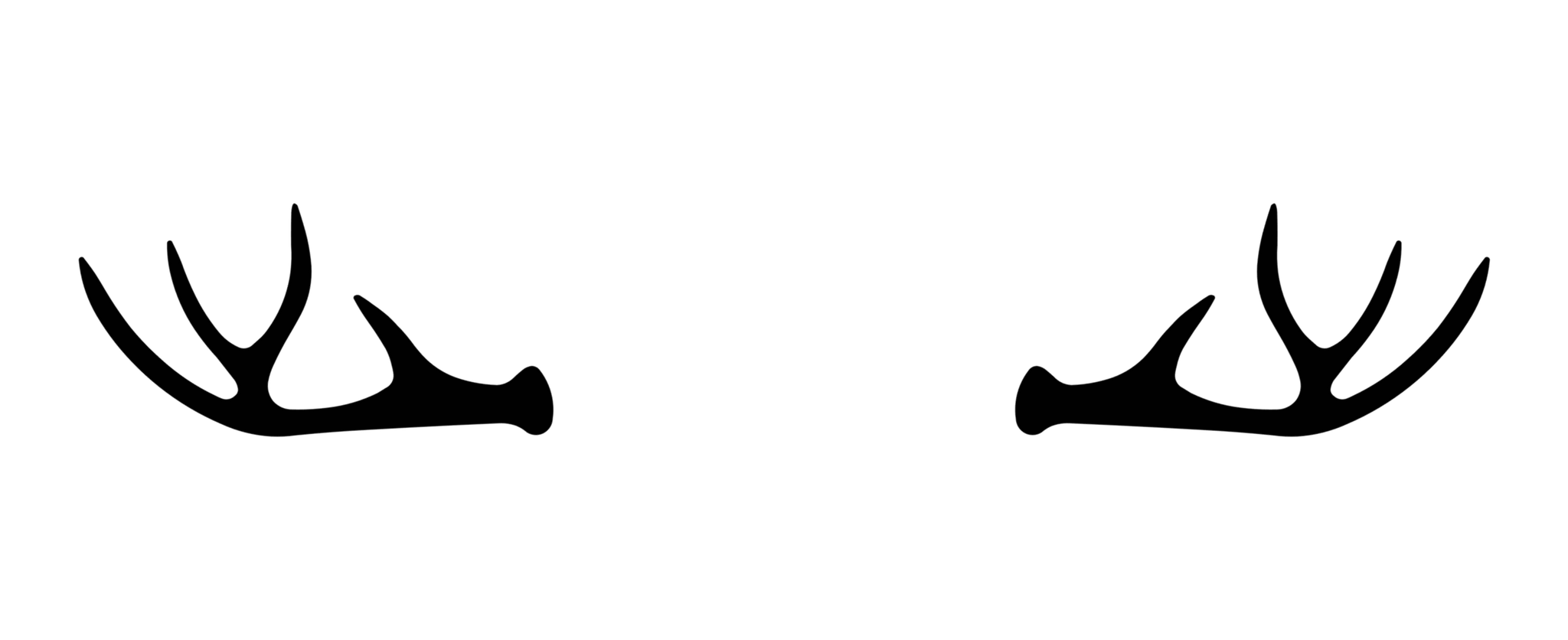 Center Options Antlers