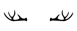 Center Options Antlers