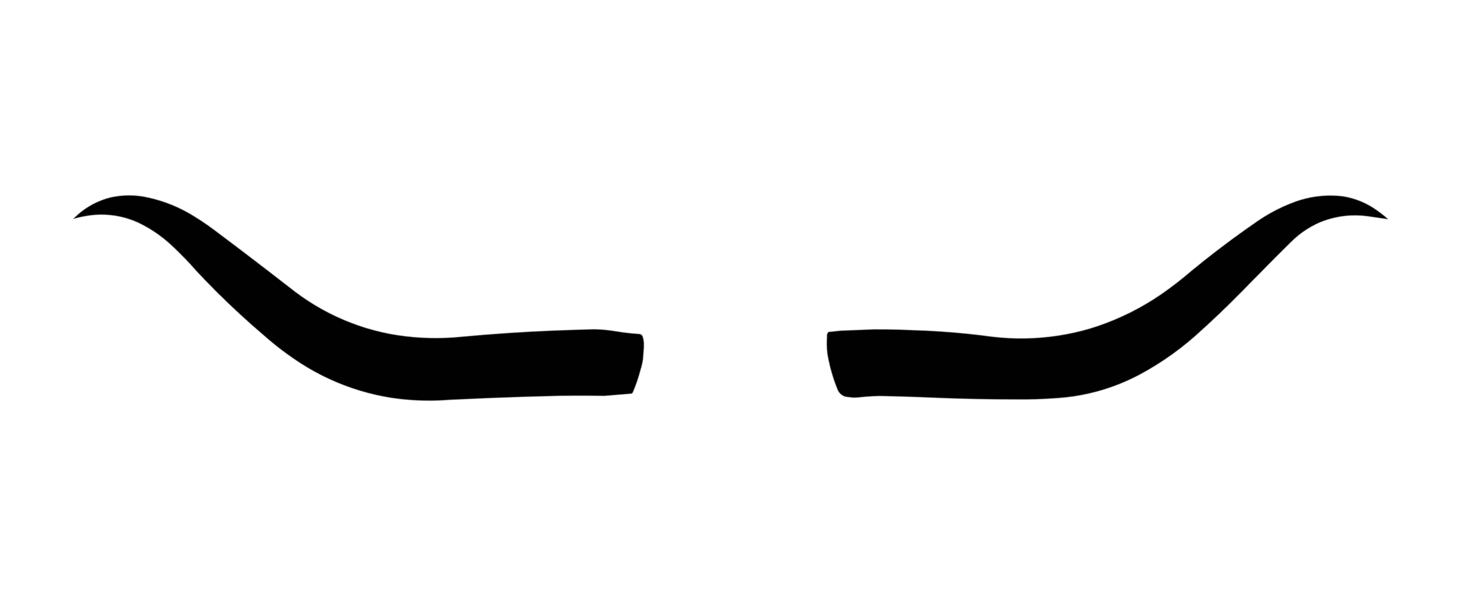 Product Image Description